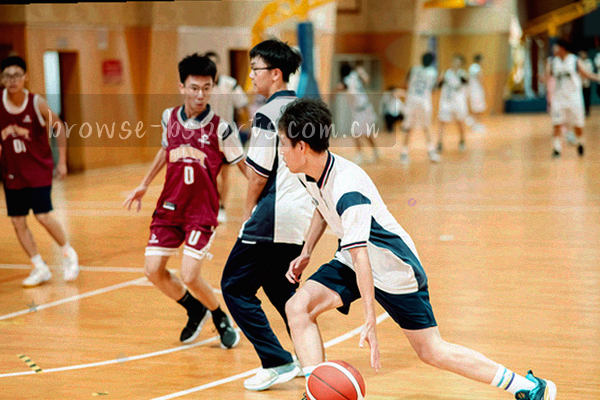 球员伤病恢复进度时间线